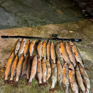 IMG_20251215_011837_451