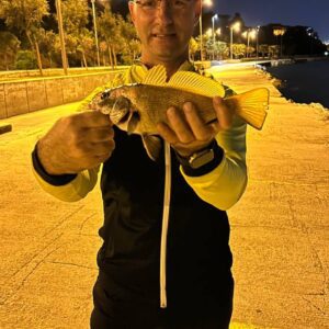 IMG_20251215_011837_769