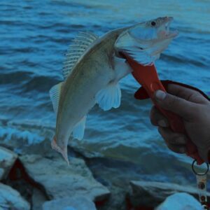 IMG_20251215_011837_800