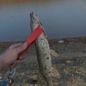 IMG_20251215_011838_072