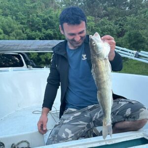 IMG_20251215_011844_655