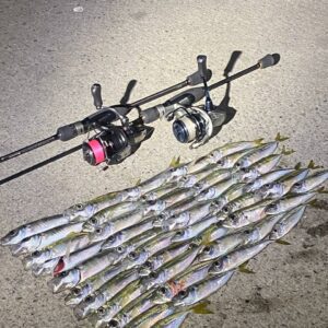 IMG_20251218_214026_006