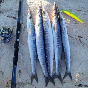 süperstar-12072021-2